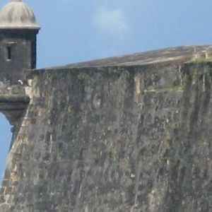 Meet your Posher, S enid